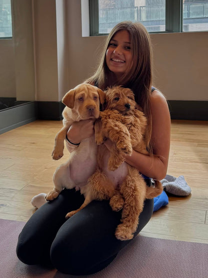 Puppy Yoga