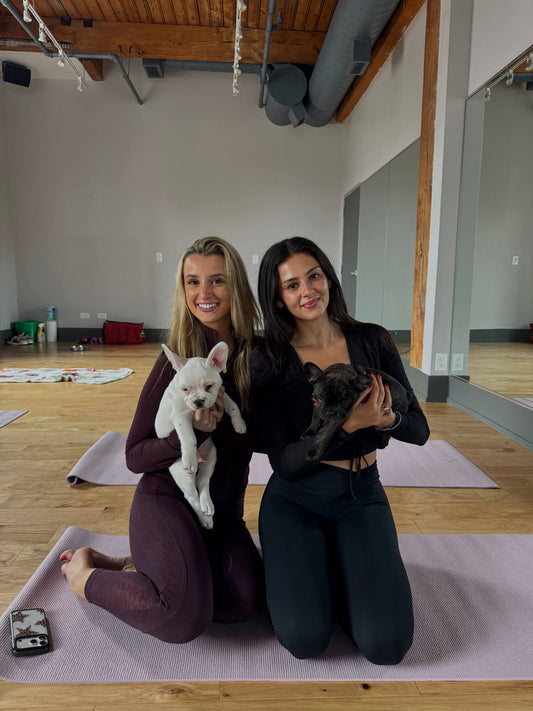 Puppy Yoga Private Event