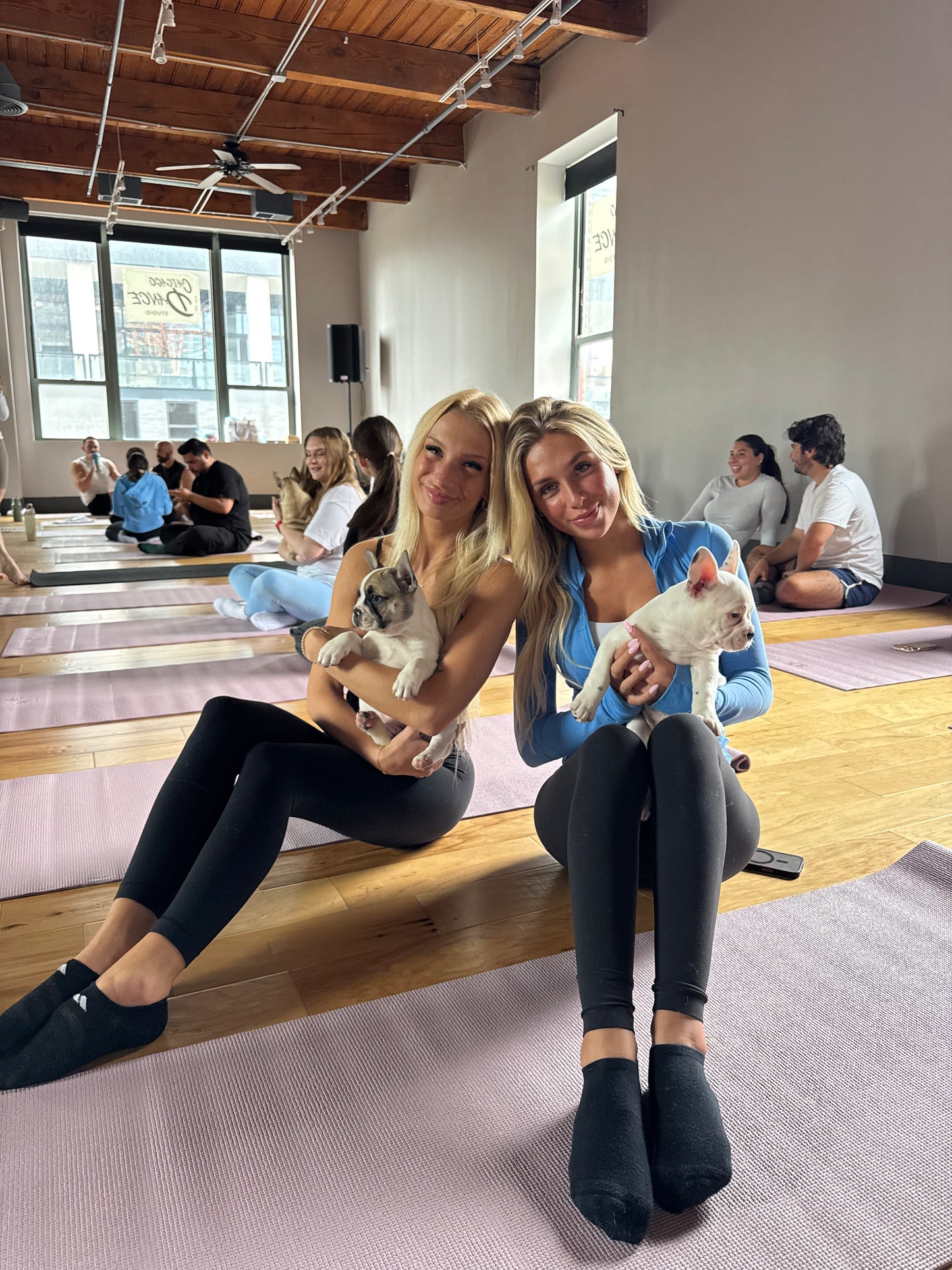 Puppy Yoga