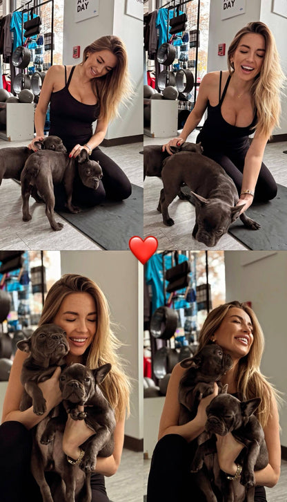 Puppy Yoga | Chicago