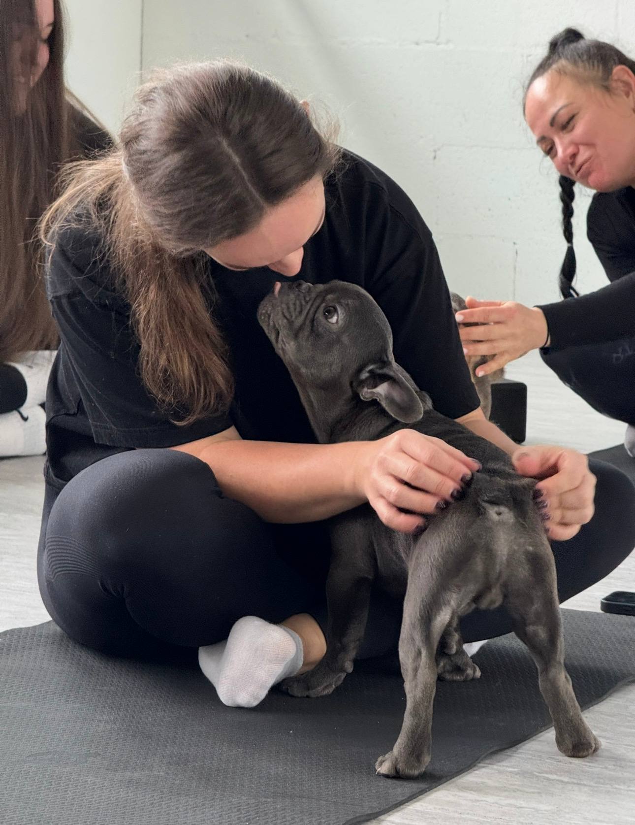 Puppy Yoga | Chicago
